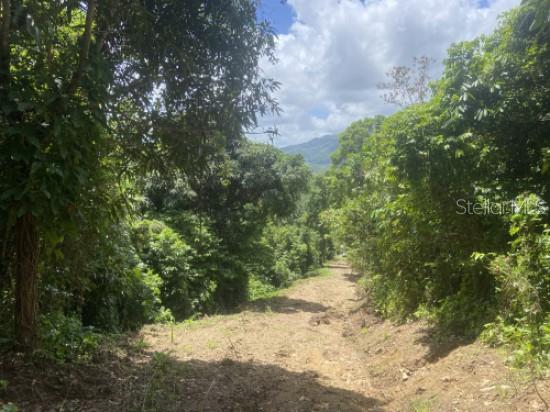Bo. Turabo Property Photo 9