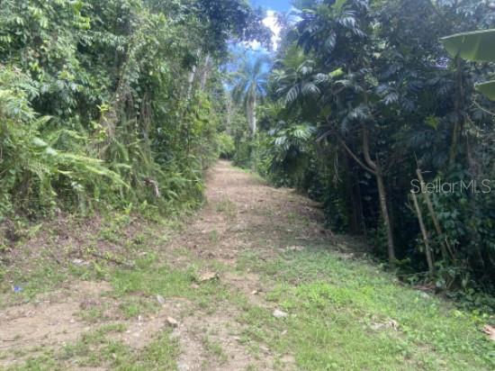 Bo. Turabo Property Photo 10