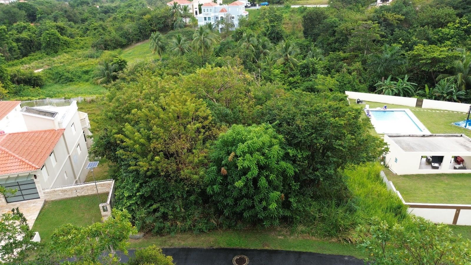 39 Cocoloba #39 Property Photo 1