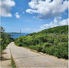 M-10 (lote) Roosevelt St (no. 4) #m-10 (lote) Property Photo