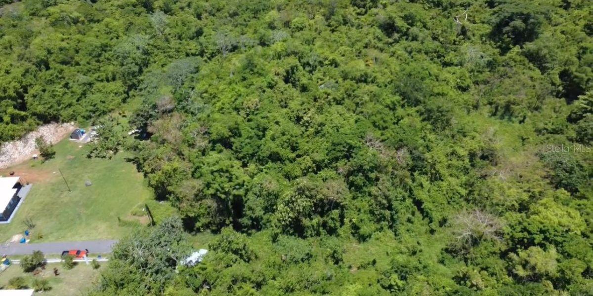 Carr. 461 Km 3.0 Int Bo Corrales Property Photo 1