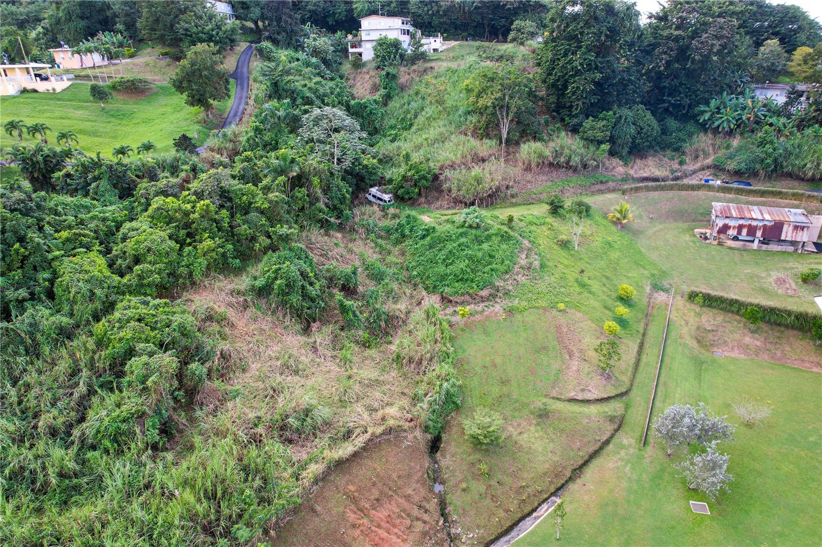 Pr 568 Sector El Limon Padilla #km 28.5 Property Photo 1