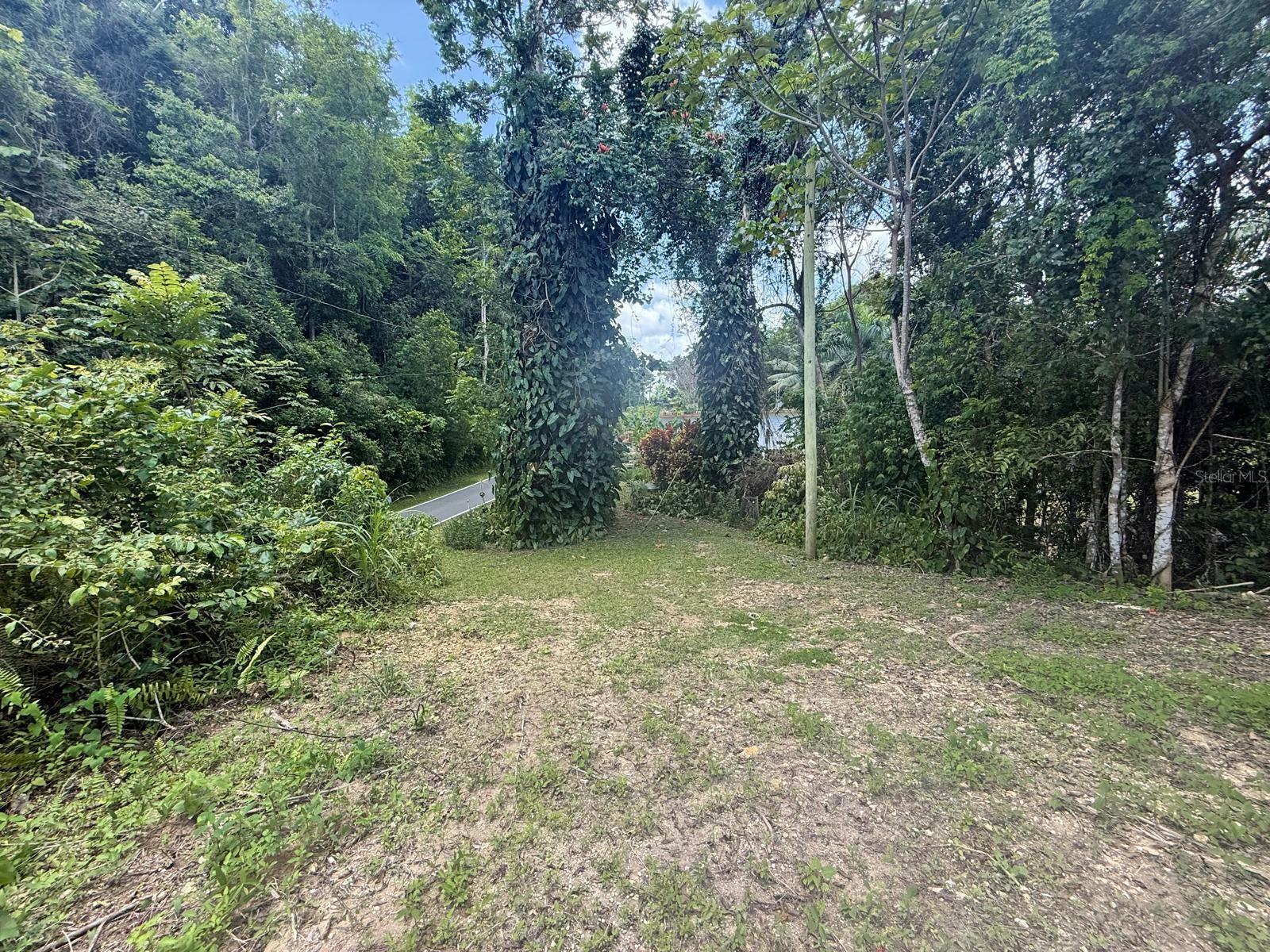 Pr-641 Km 6.0 E Rio Arriba Poniente Property Photo 1