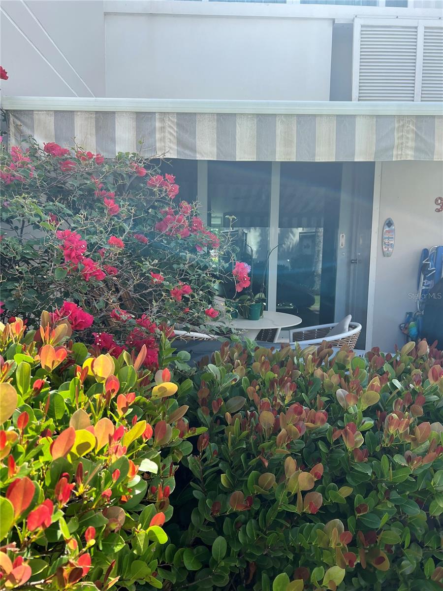 101 Ocean Villas Property Photo 17