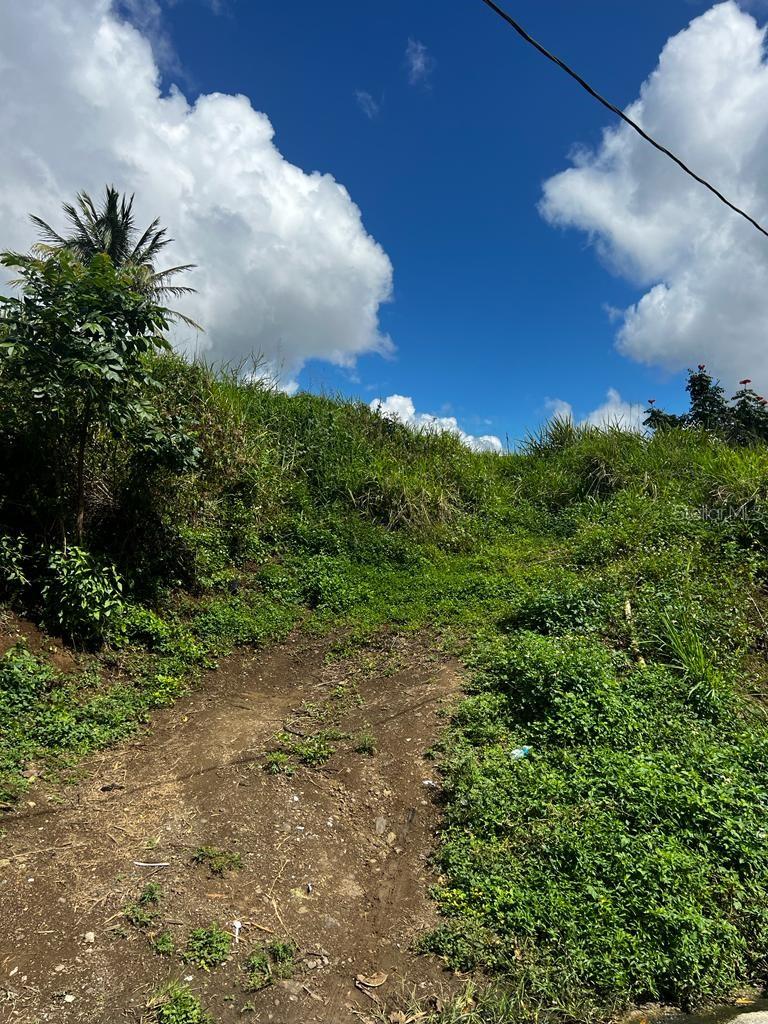 Toita Property Photo 1