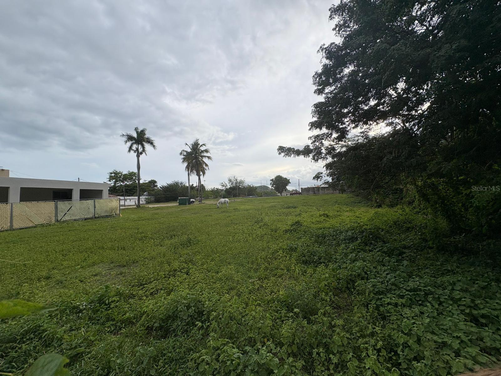 1 Juana Diaz Property Photo 1