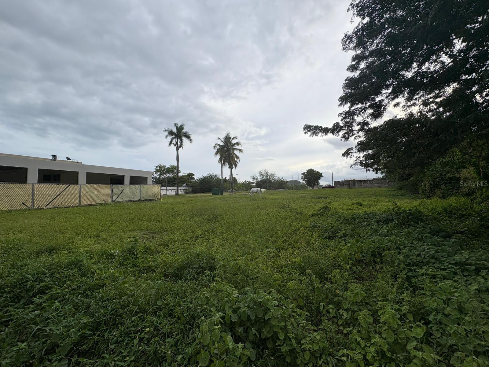 1 Juana Diaz Property Photo 3