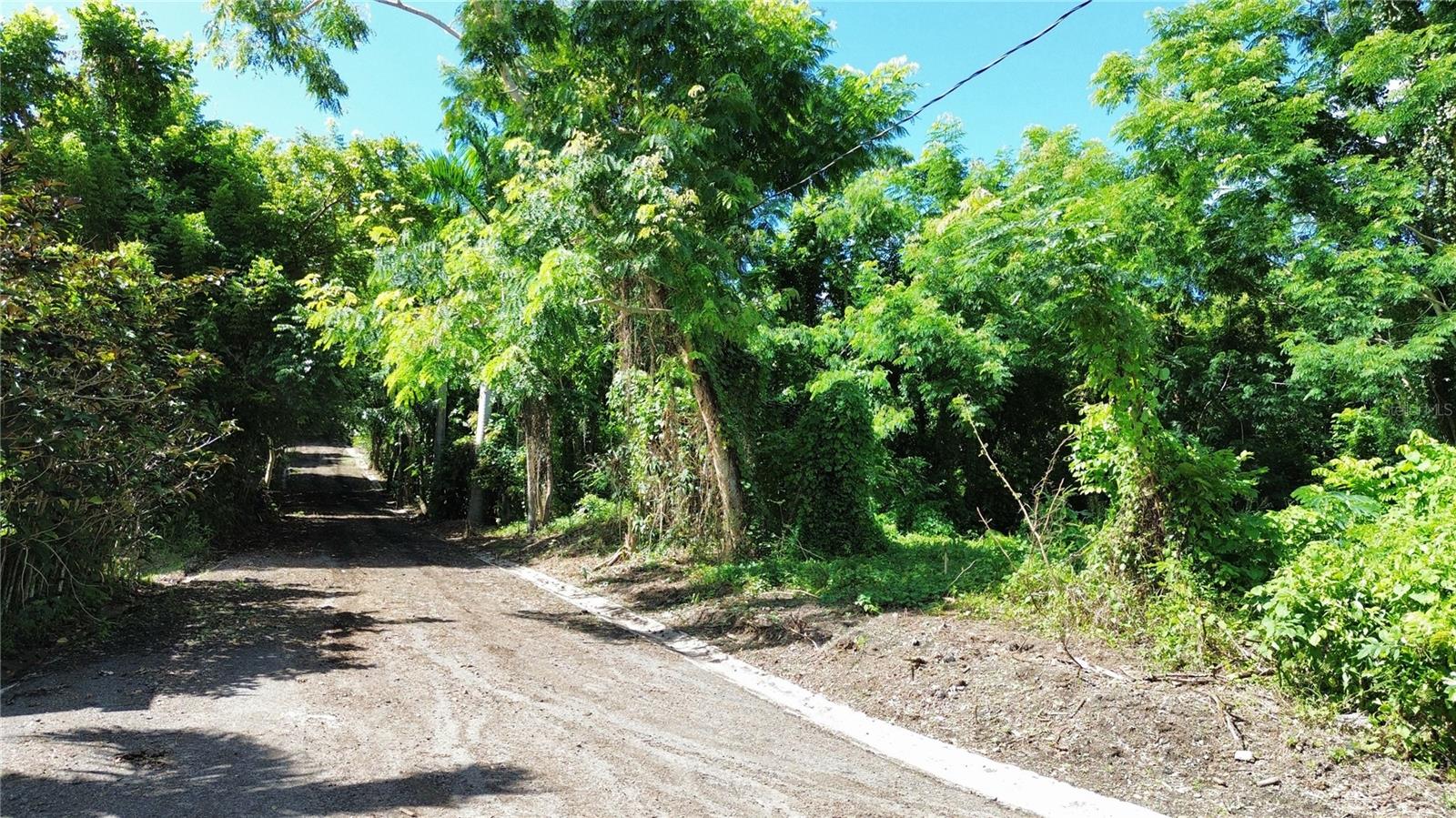 Calle Balbino Rosa #solar C Property Photo 4