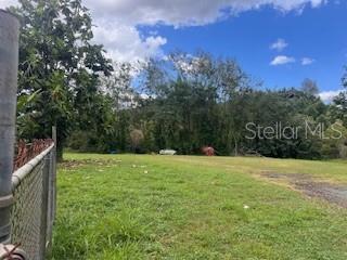 Calle Juan Ramos Bo. Guaraguao Property Photo 1