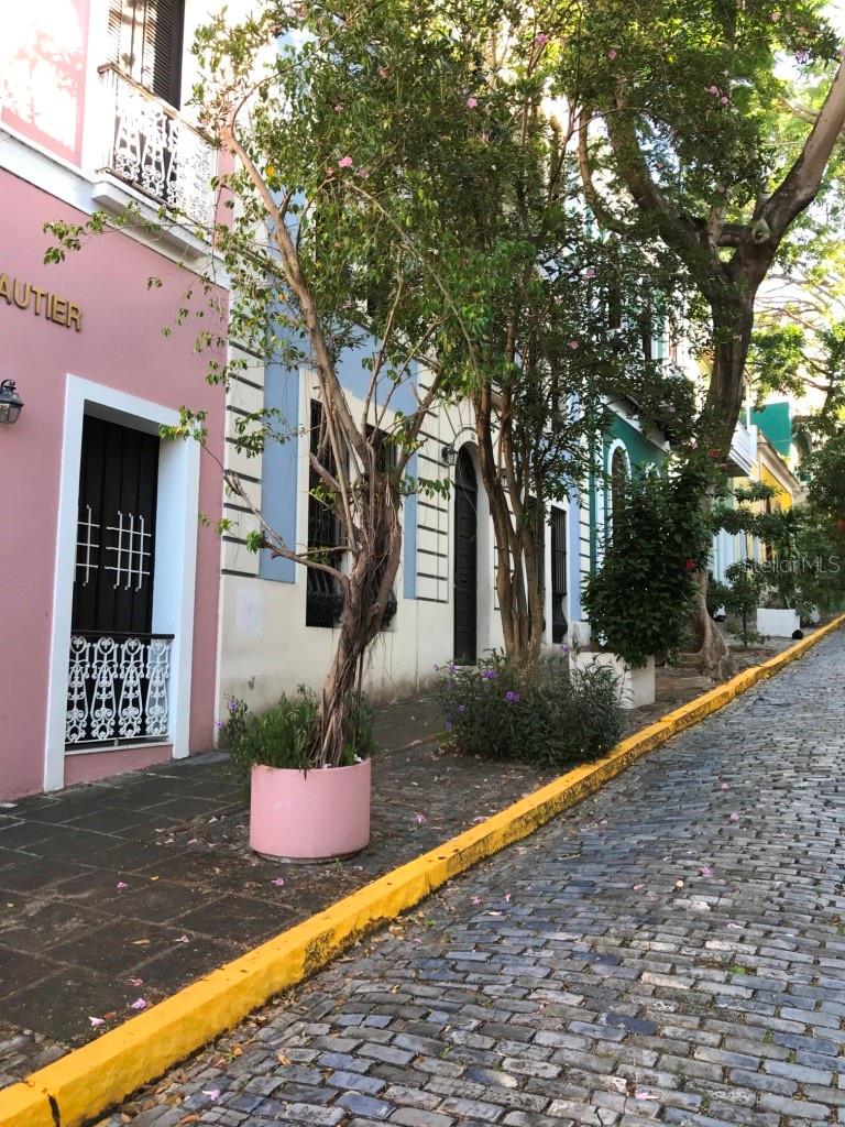53 Caleta St #ph Property Photo 1