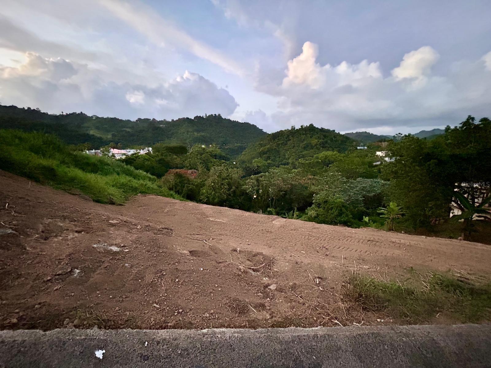 164 St. Km 4.4 Bo. Nuevo Property Photo 3