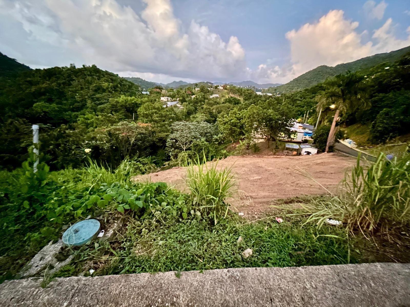 164 St. Km 4.4 Bo. Nuevo Property Photo 4
