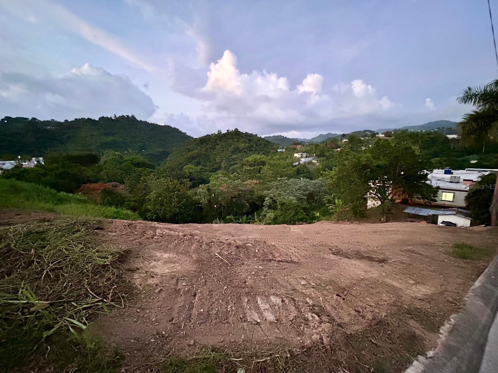 164 St. Km 4.4 Bo. Nuevo Property Photo 8