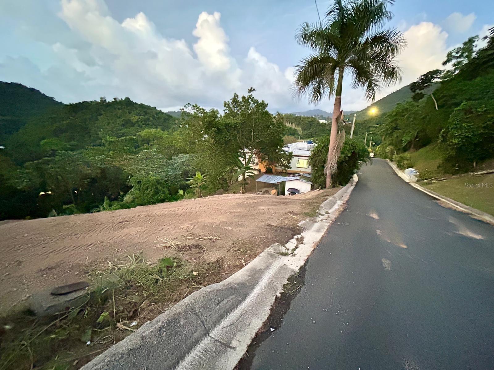 164 St. Km 4.4 Bo. Nuevo Property Photo 9