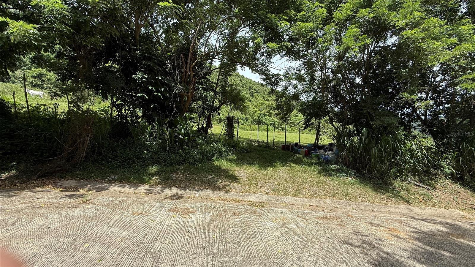 PR9114546 Property Photo 1