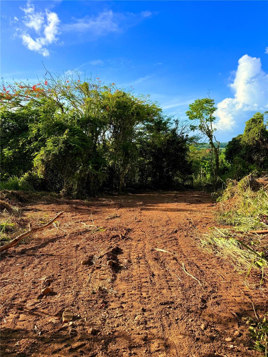 Bo. Cacao Property Photo 6