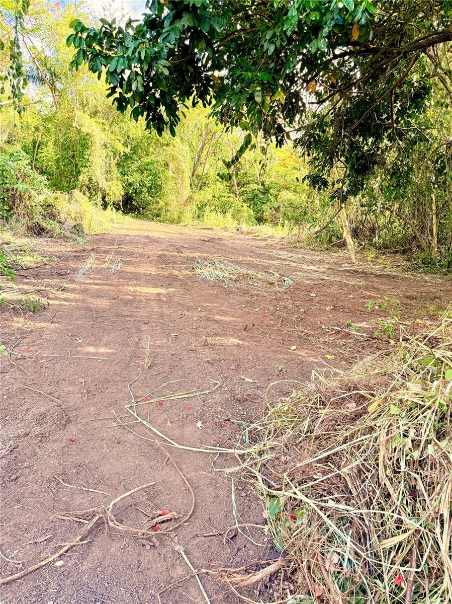Bo. Cacao Property Photo 8
