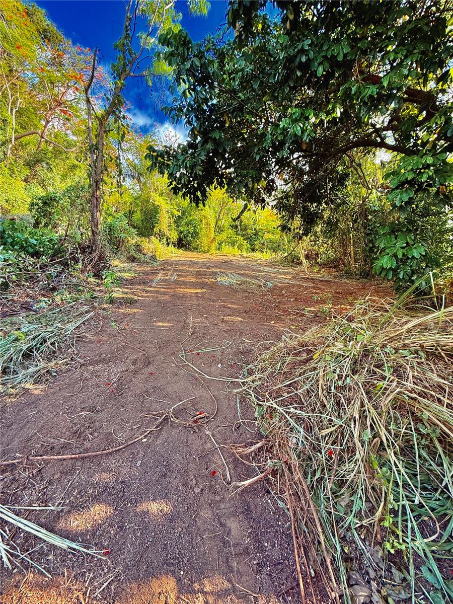 Bo. Cacao Property Photo 9