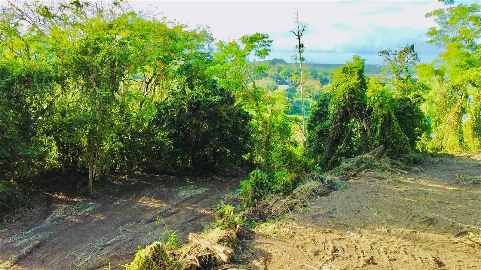 Bo. Cacao Property Photo 10