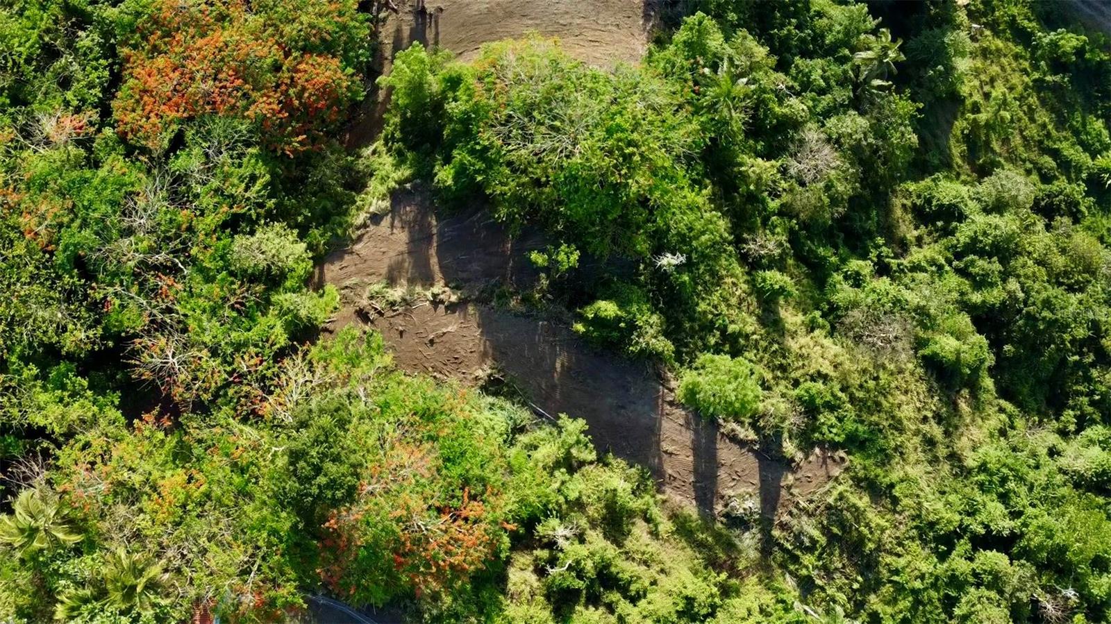 Bo. Cacao Property Photo 12