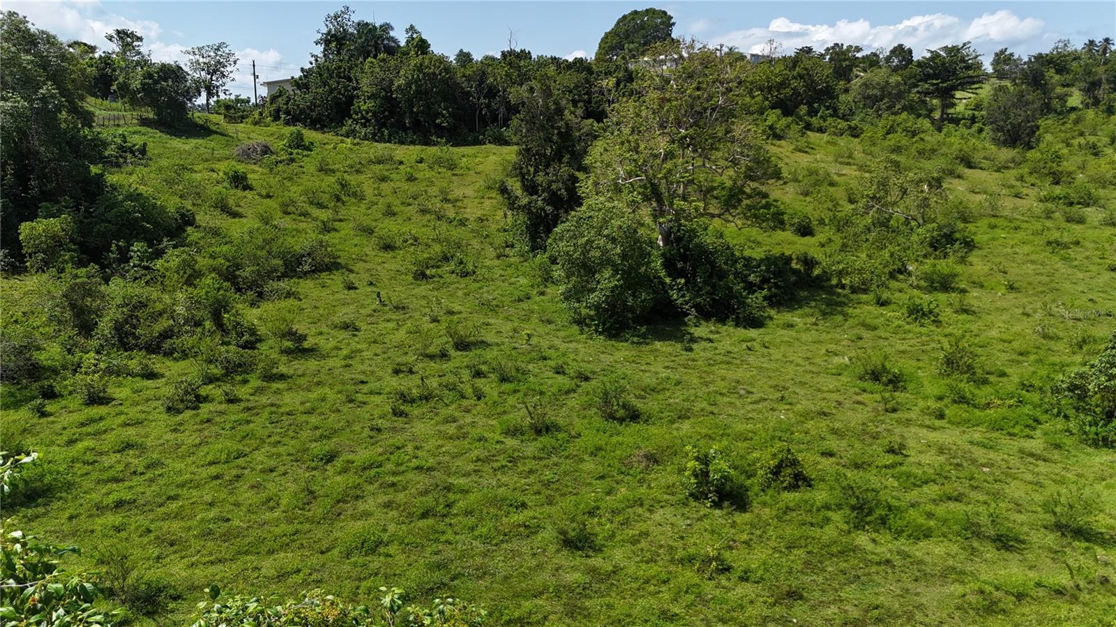 Carr. 445 Km. 3.4 Int. Barrio Saltos Property Photo 1