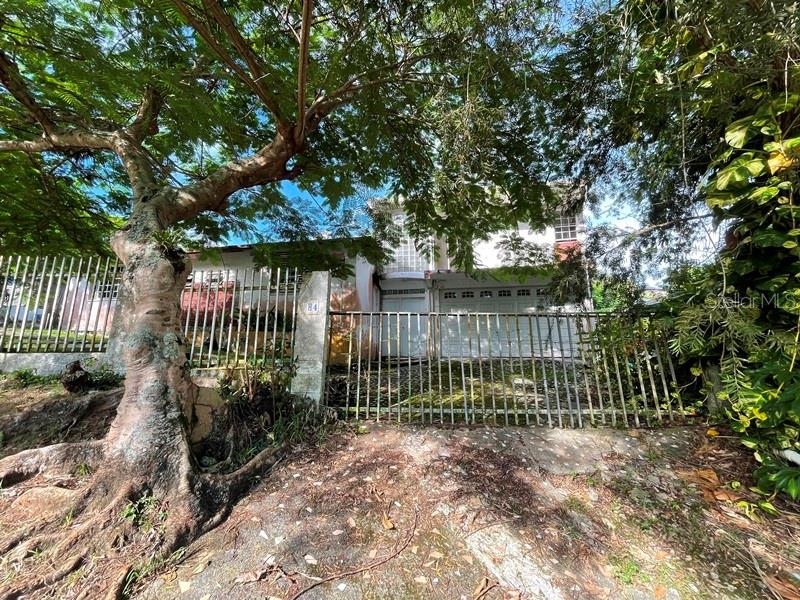 Carr 795 Km 3.02 Rio Cañas Ward Property Photo 1