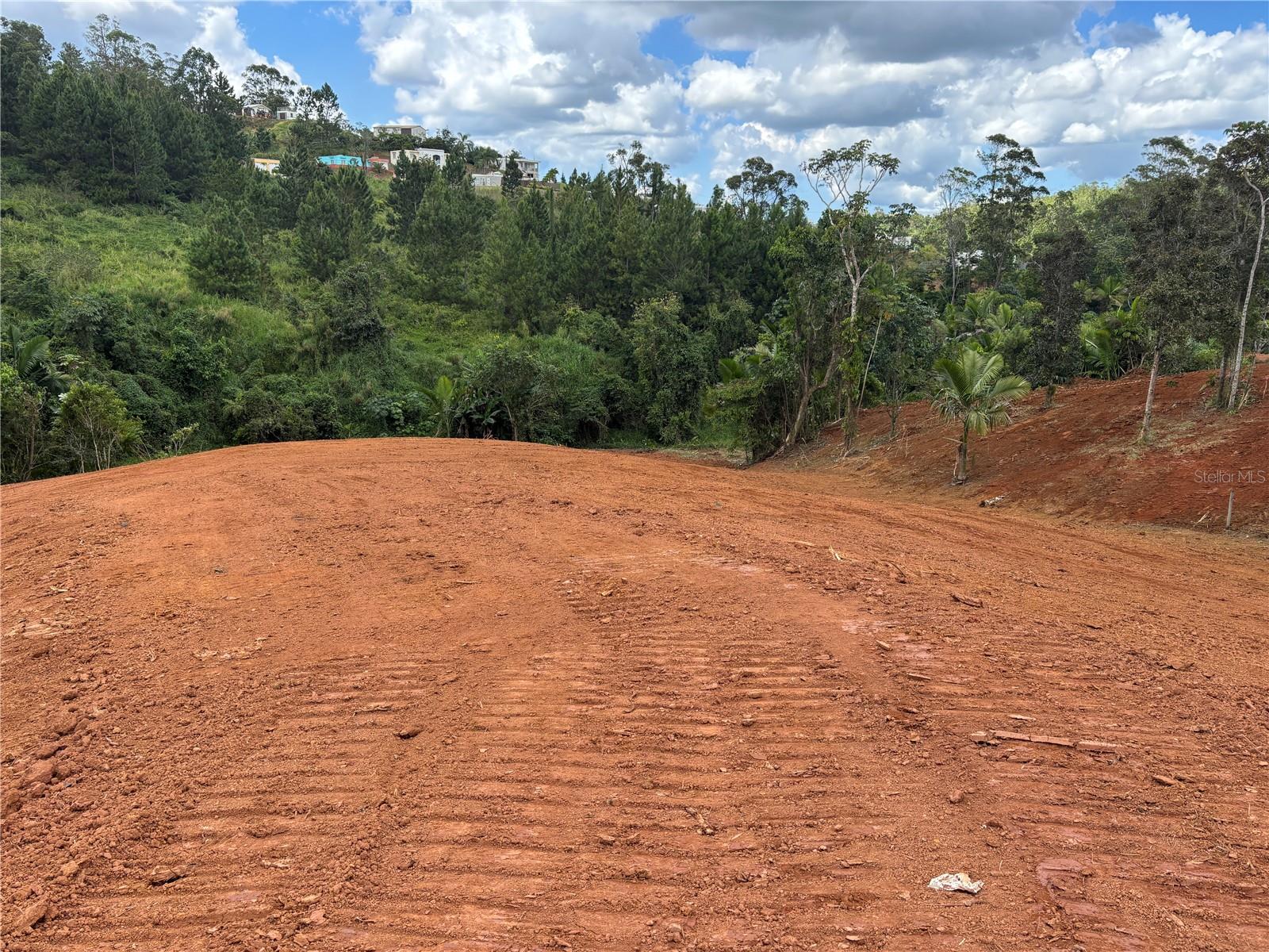 Carr 569 Km 2.7 Int Bo. Sabana Property Photo 1