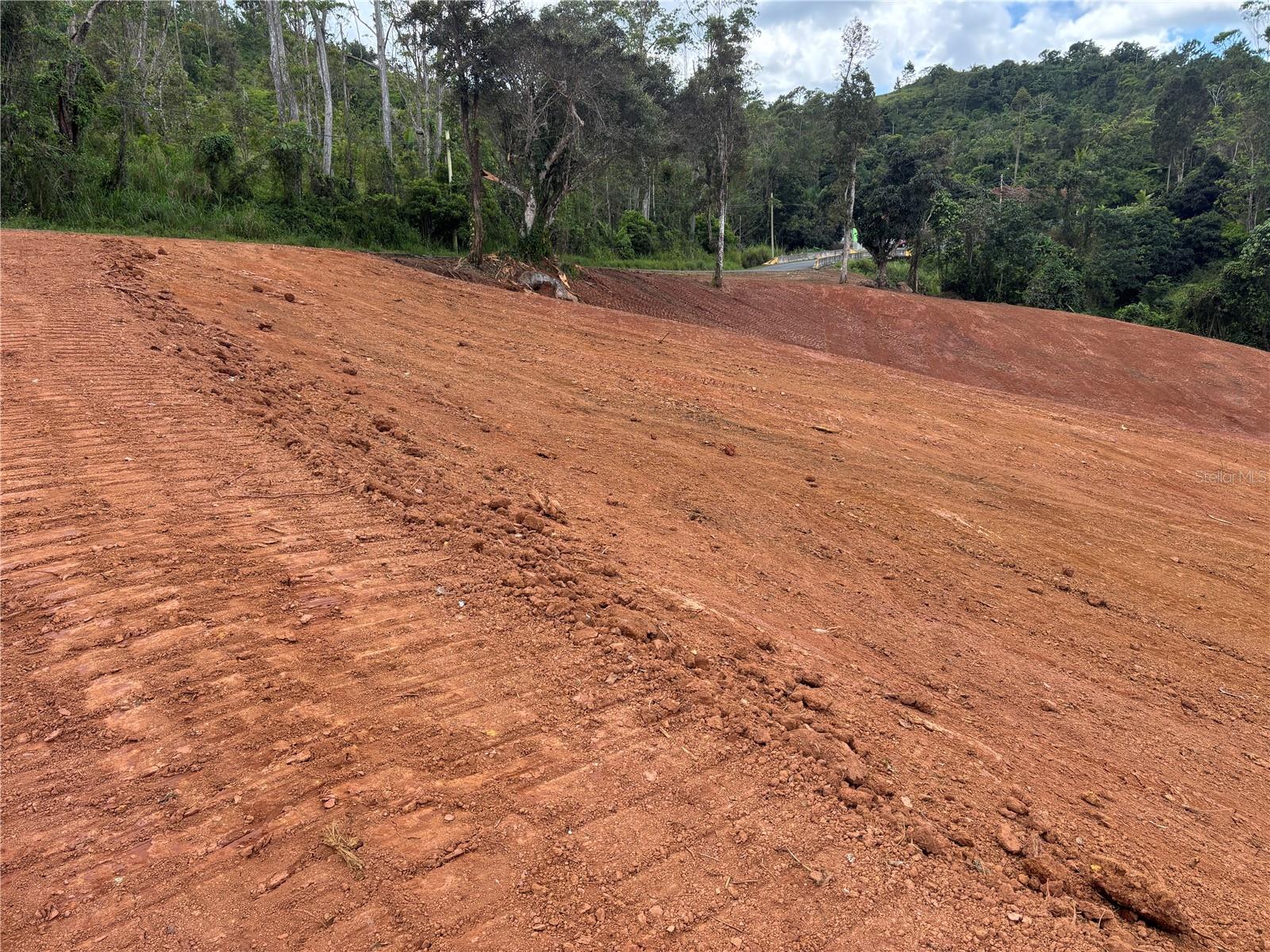 Carr 569 Km 2.7 Int Bo. Sabana Property Photo 3