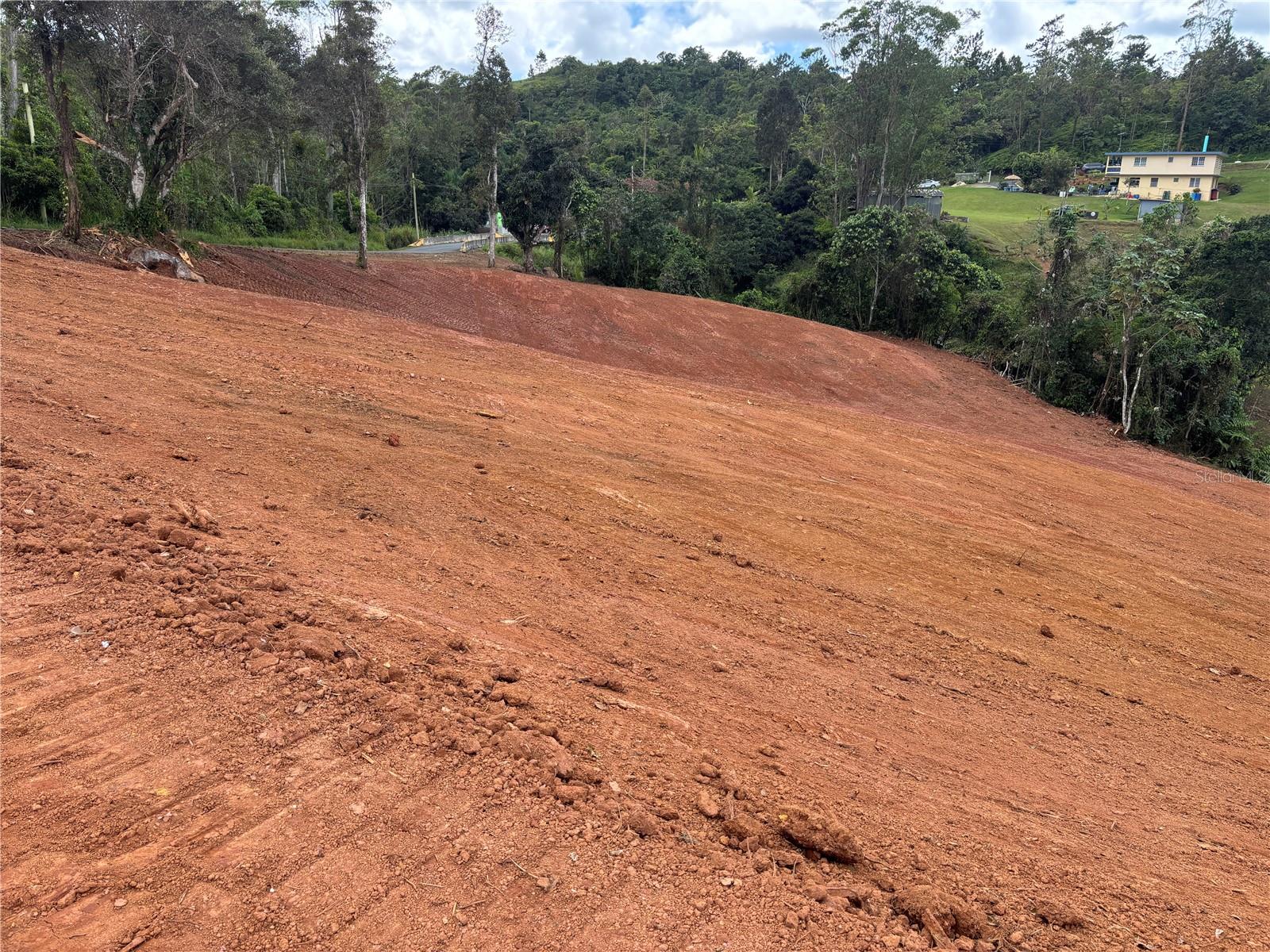 Carr 569 Km 2.7 Int Bo. Sabana Property Photo 4
