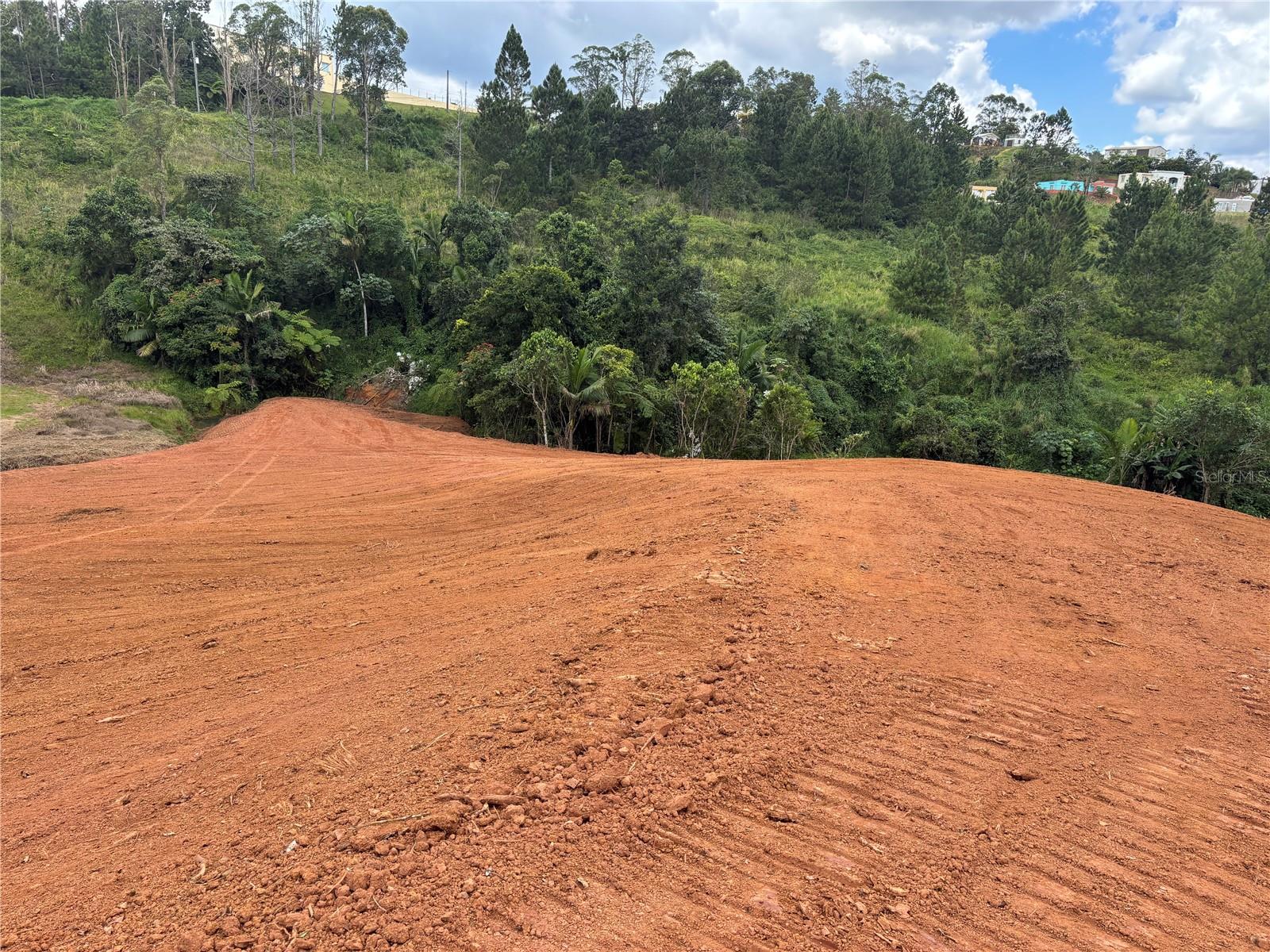 Carr 569 Km 2.7 Int Bo. Sabana Property Photo 5