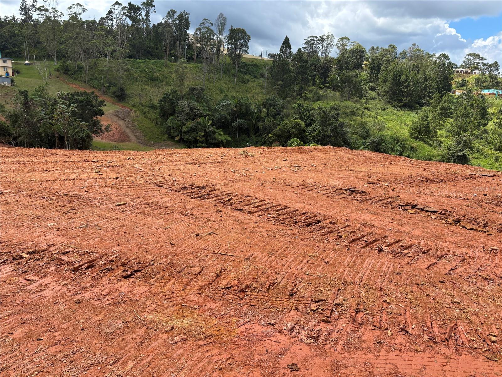 Carr 569 Km 2.7 Int Bo. Sabana Property Photo 6