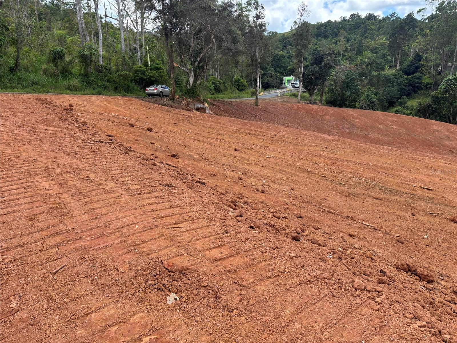 Carr 569 Km 2.7 Int Bo. Sabana Property Photo 8