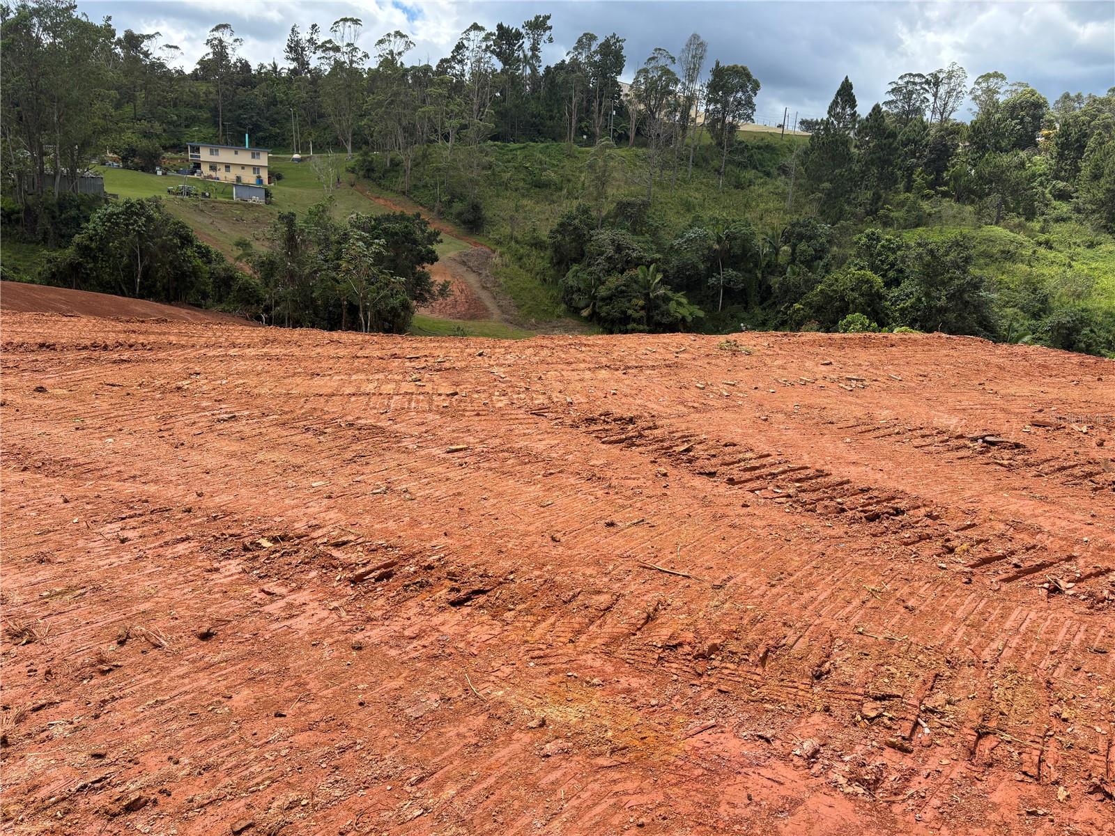 Carr 569 Km 2.7 Int Bo. Sabana Property Photo 9