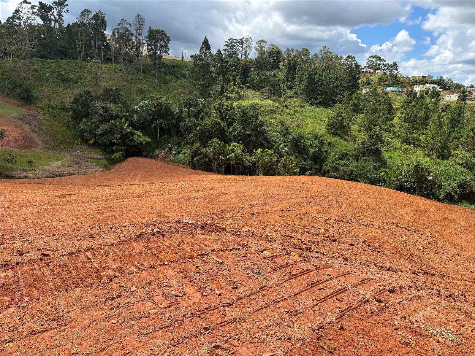 Carr 569 Km 2.7 Int Bo. Sabana Property Photo 10