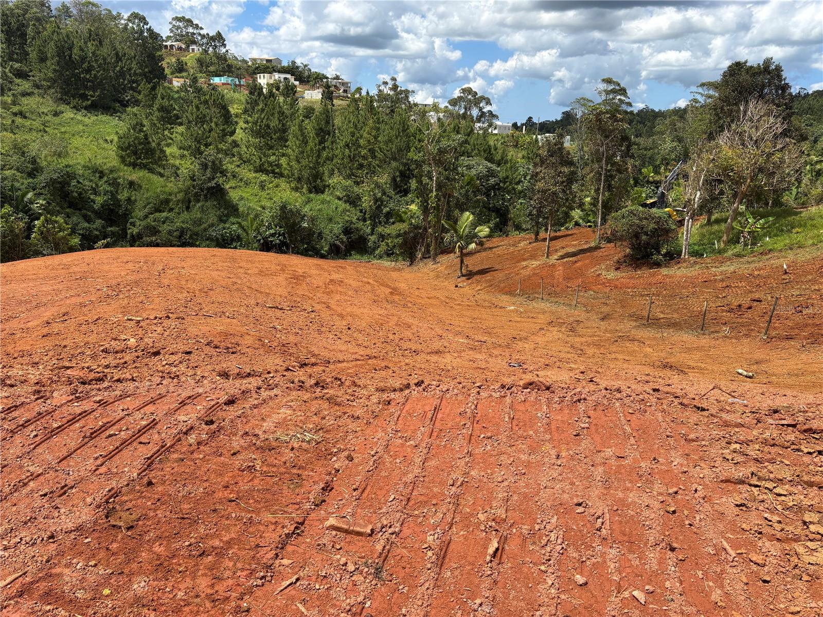 Carr 569 Km 2.7 Int Bo. Sabana Property Photo 12