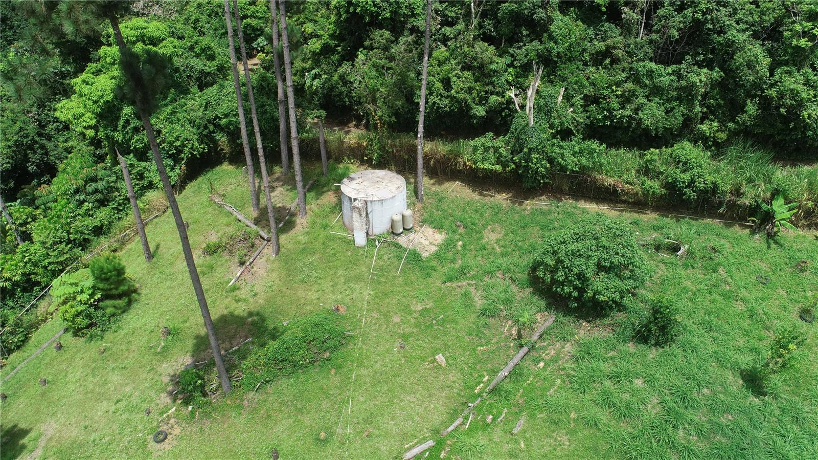 C-26 Arcenia Property Photo 3