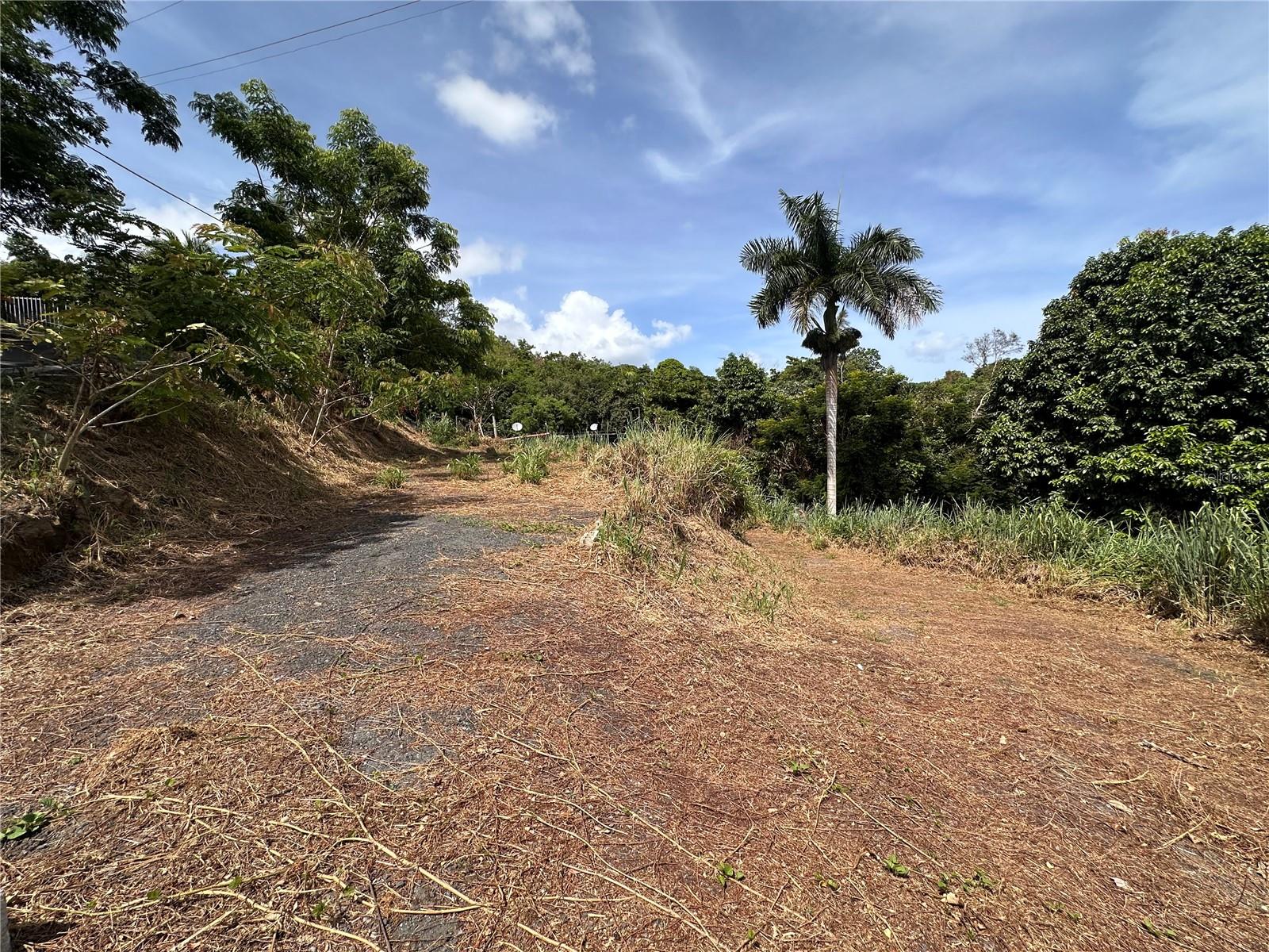 Carr. 941 Km.hm 5 Bo Jaguas Property Photo 1
