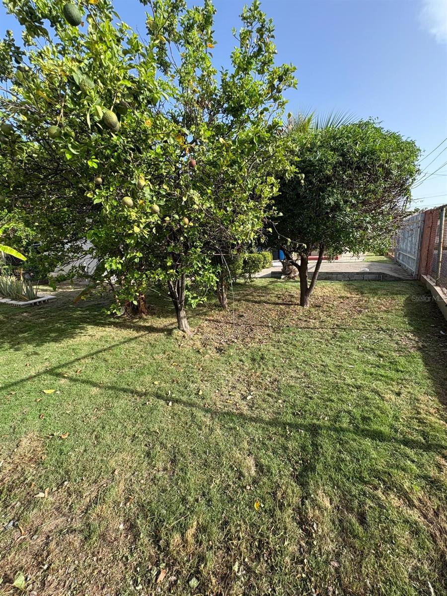 A-95 Calle A Property Photo 10