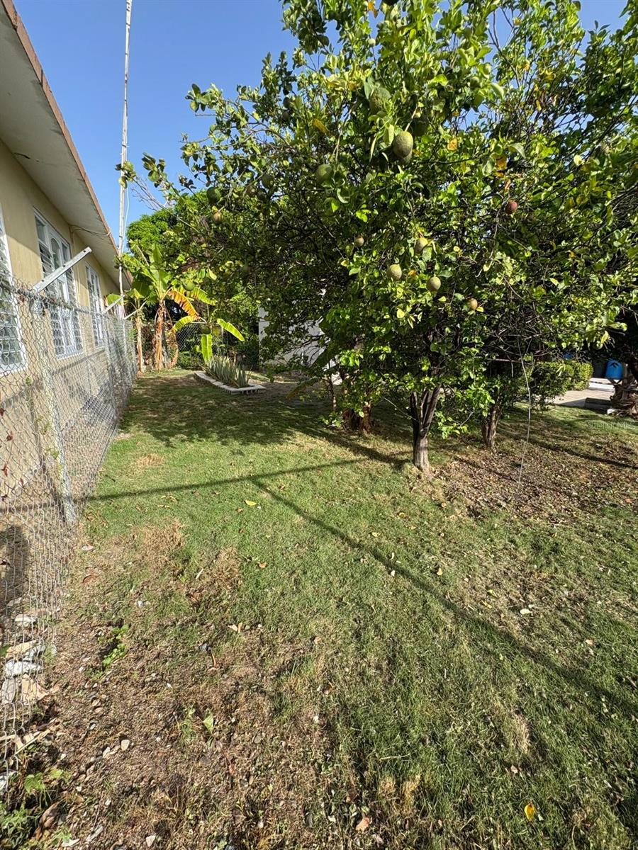 A-95 Calle A Property Photo 11