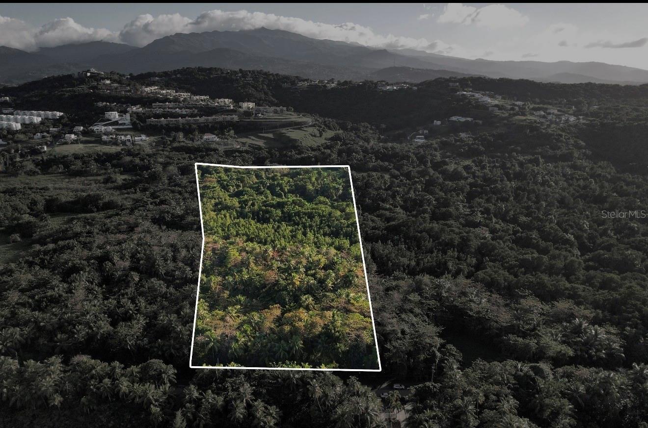 Pr-968 Km 2.2 Las Picuas Property Photo 2