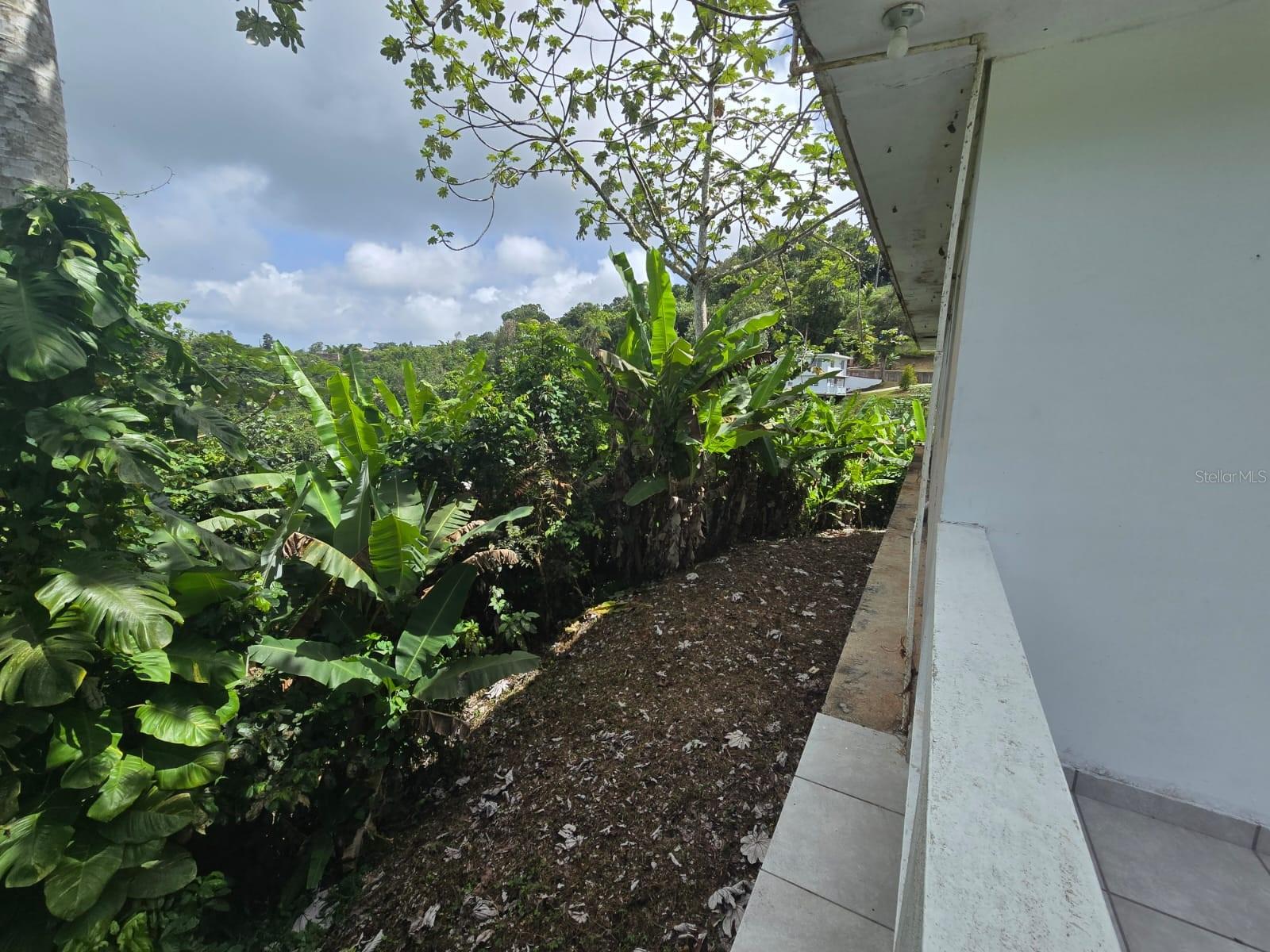 Sr 15 Km 20.4 Quebrada Arriba And Culebras Debajo Property Photo 35