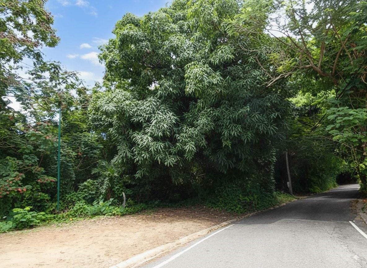 Sr 108 Km 8.1 Rio Cañas Wd #c-2 Property Photo 2
