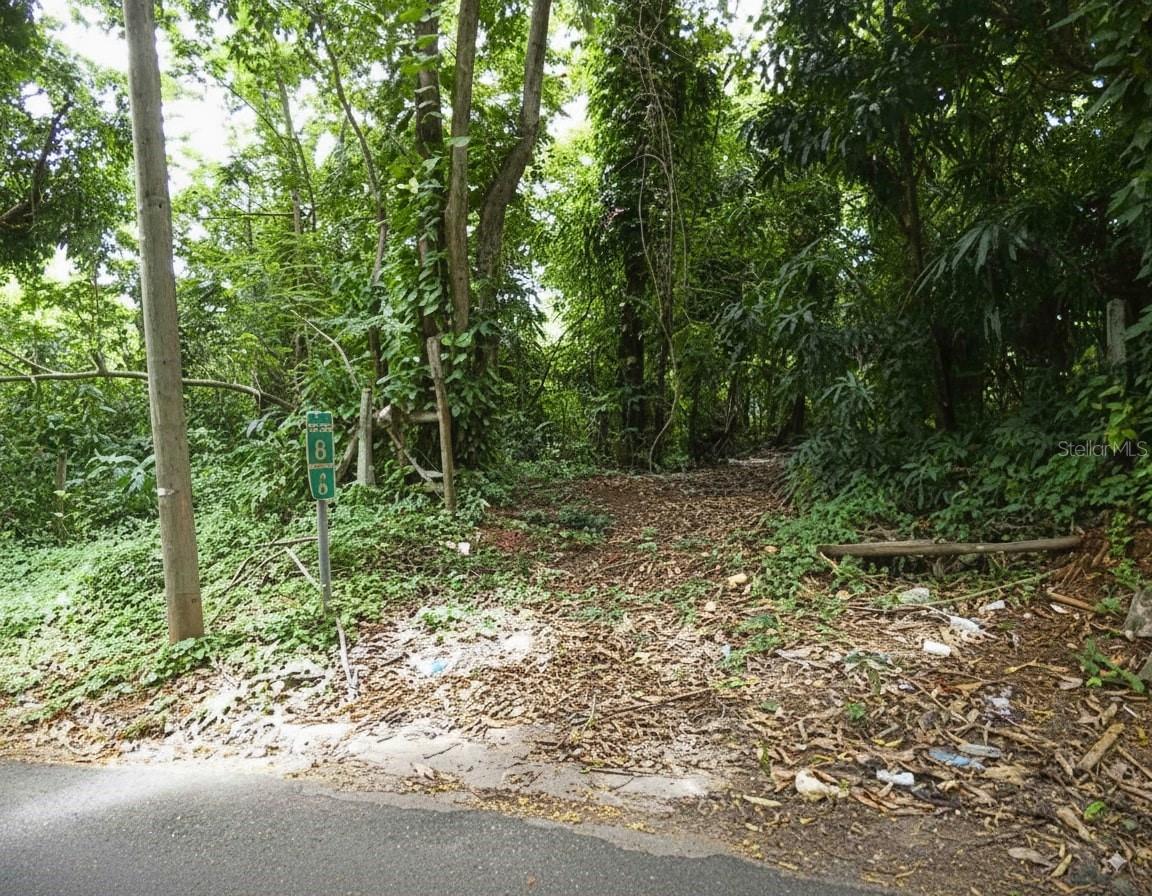 Sr 108 Km 8.1 Rio Cañas Wd #c-2 Property Photo 3