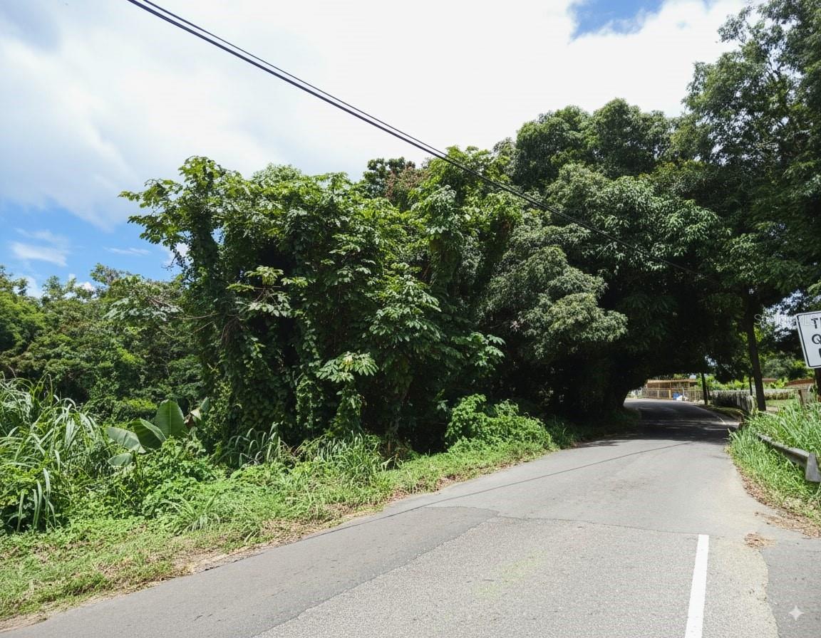 Sr 108 Km 8.1 Rio Cañas Wd #c-2 Property Photo 4
