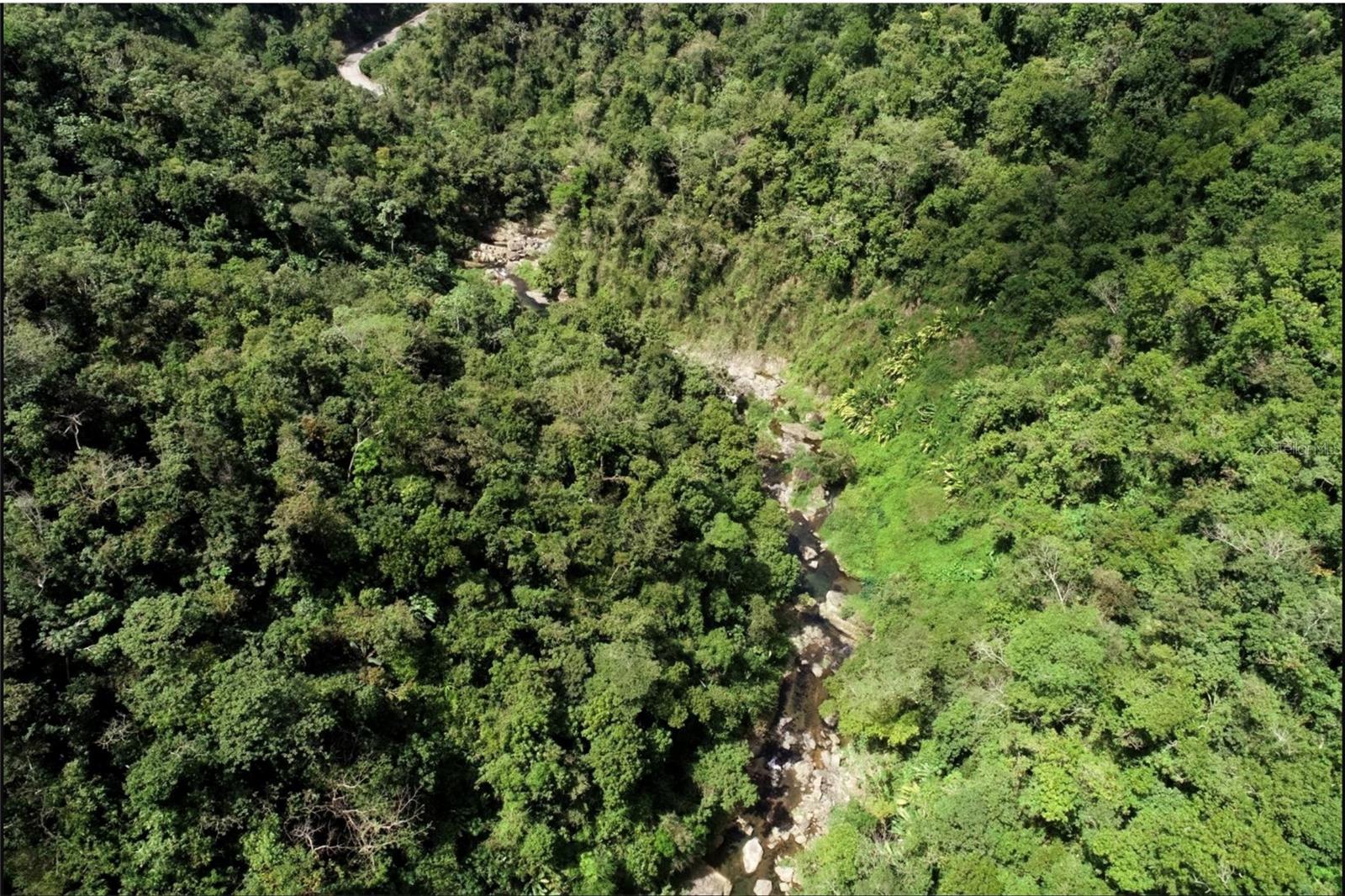 Carr.140 Bo Mameyes Abajo Property Photo 6