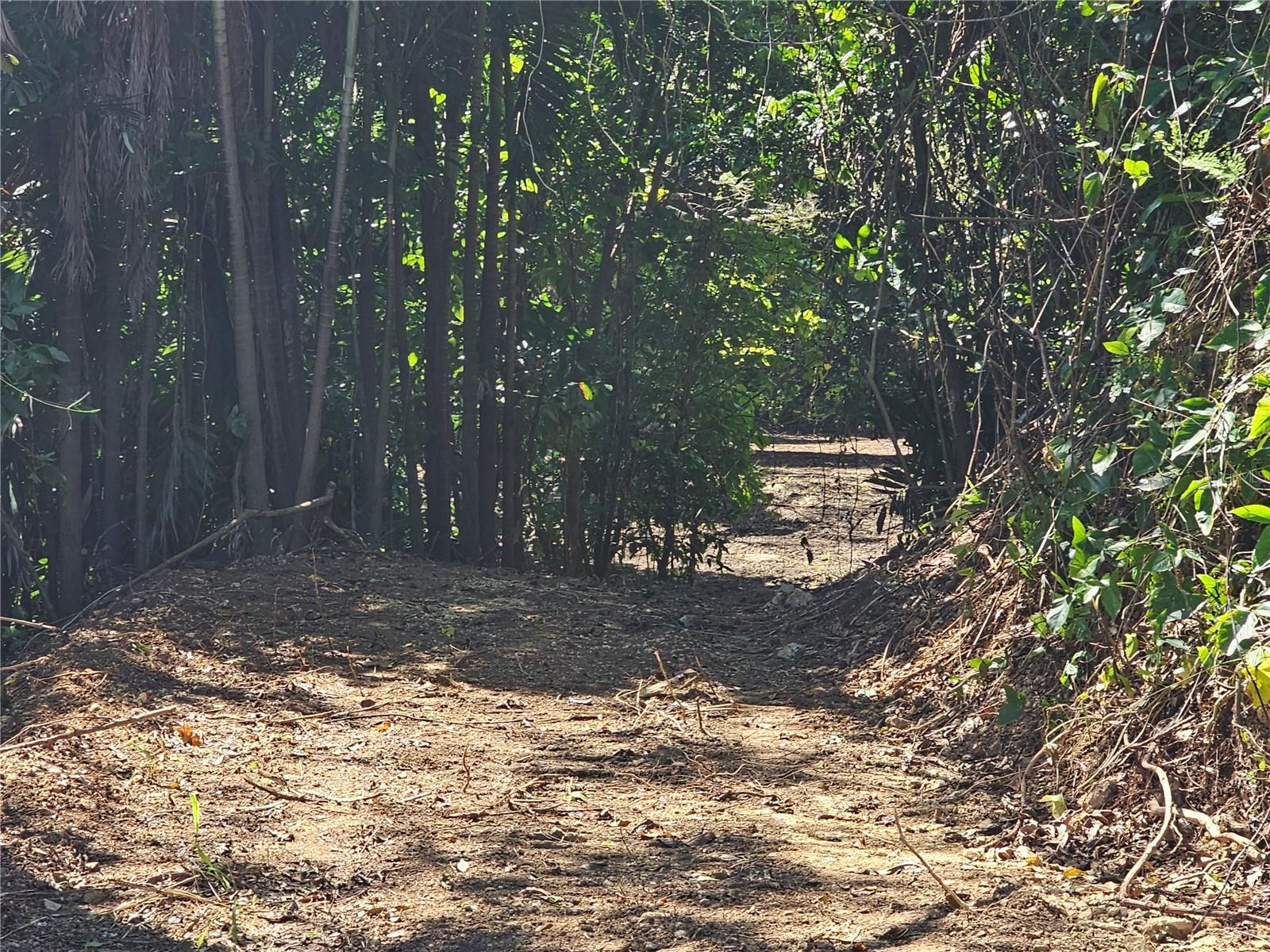 Pr-159 Property Photo 8
