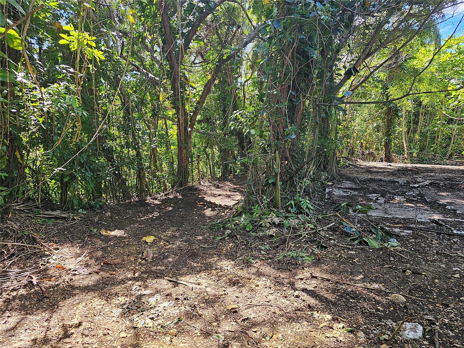 Pr-159 Property Photo 12