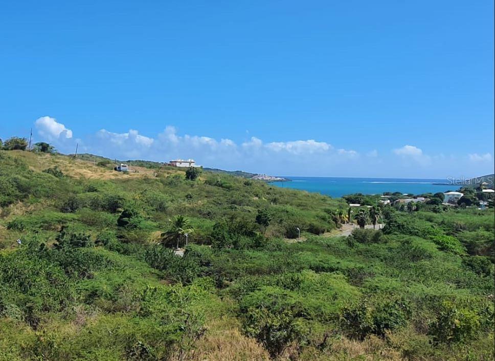 6 Posada Del Coronel Property Photo 4