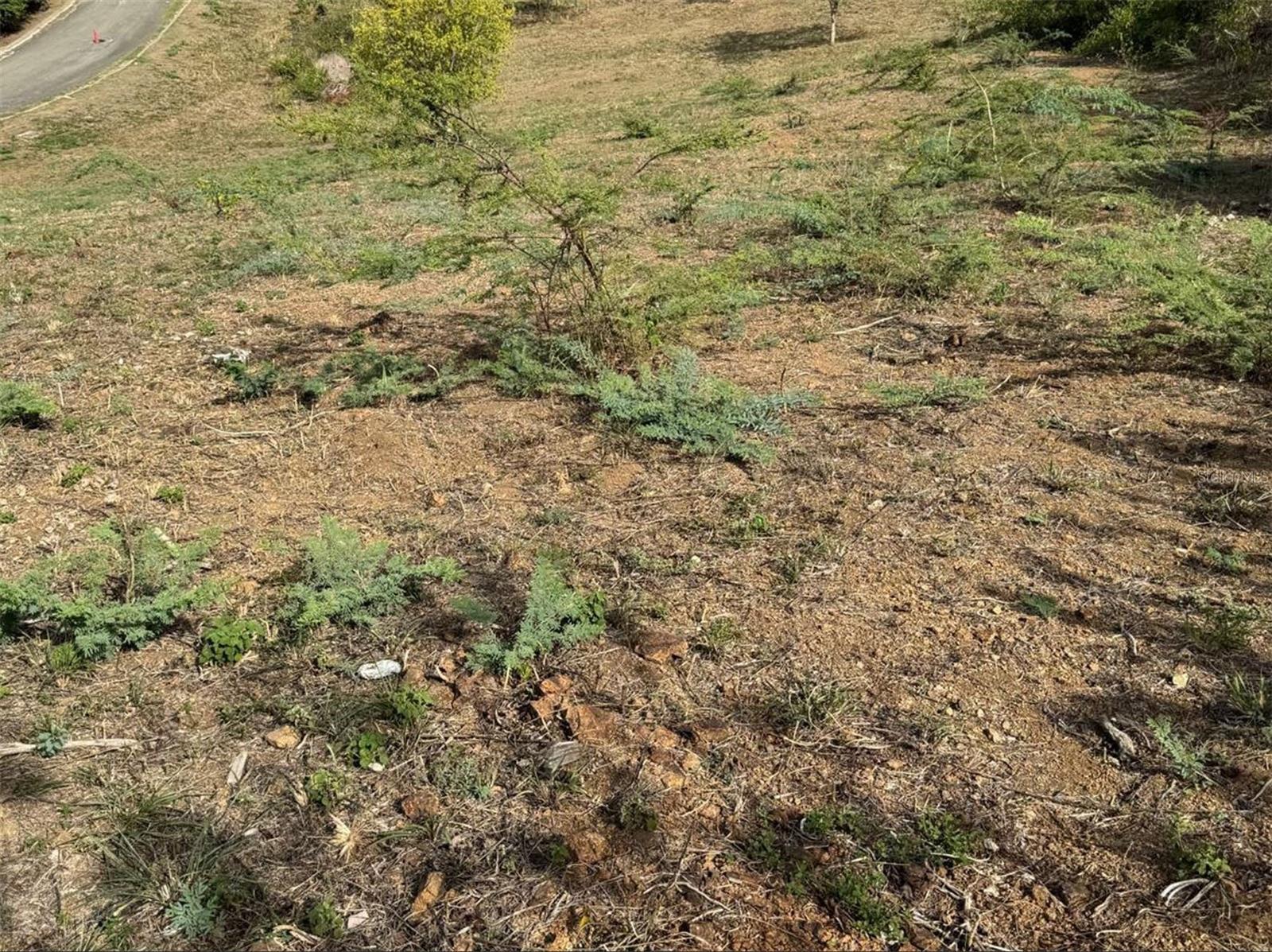 6 Posada Del Coronel Property Photo 8