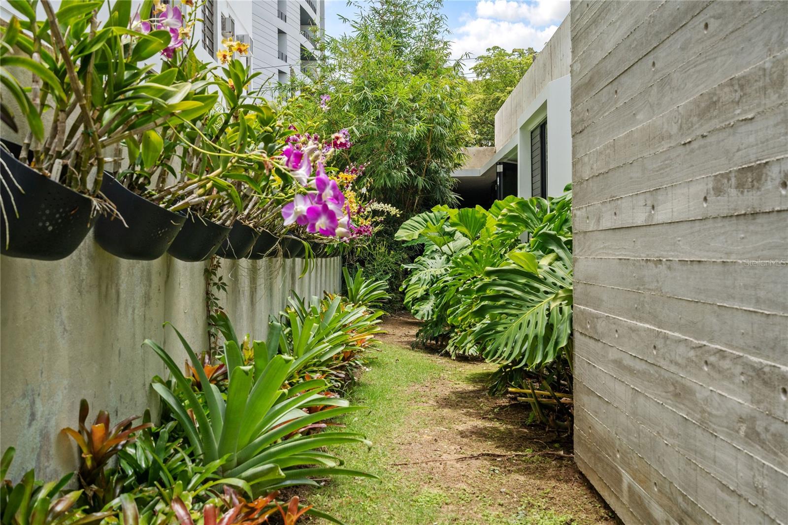 1211 Luchetti Property Photo 15